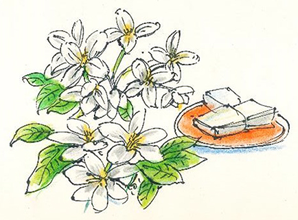 曹長雄老師 謎語圖