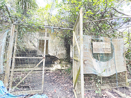 來到虎豹別墅前面