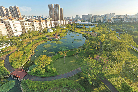 ◎ 這是廣西南寧市沙江河濕地公園初冬景色(十一月十四日攝,無人機照片)。(新華社記者 周華 攝)