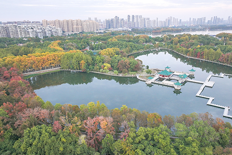 ◎ 十一月十三日在湖北省武漢市東湖風景區拍攝的初冬景色(無人機照片)。(新華社發 趙軍 攝)
