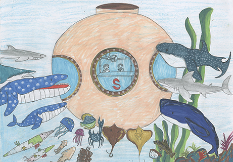 探索海洋 菜農子弟學校 五年級 王耀駿