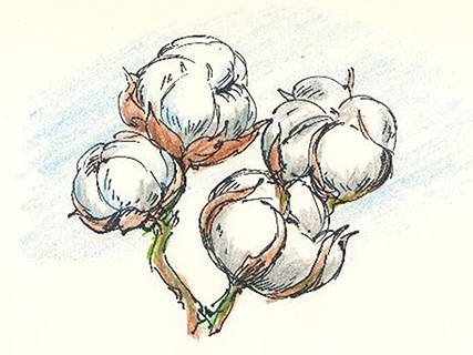 曹長雄老師 謎語圖