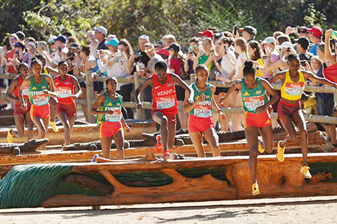 ◎ 一月十日,參賽選手在女子成年組比賽中。二0二六年國際田聯世界越野跑錦標賽在美國佛羅里達州塔拉哈西舉行。(新華社記者張鳳國攝)