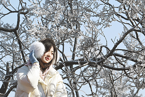 ◎ 一月二十一日,雪後的南京紫金山頭陀嶺出現霧凇奇觀,美不勝收。(中新社記者 泱波 攝)