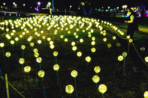 ◎ 「上海燈區」。(香港中通社圖片)