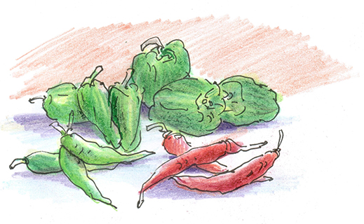 曹長雄老師 謎語圖