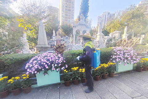 ◎ 市政署已加強市政墳場的滅蚊工作。