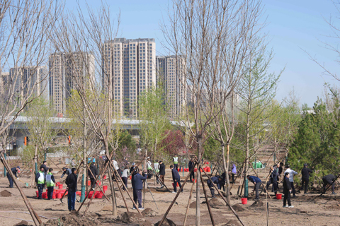 ◎ 四月十一日,二0二六年共和國部長義務植樹活動在北京市通州區舉行。活動以「履行植樹義務 共建美麗中國」為主題,來自中共中央直屬機關、中央國家機關各部門和北京市的一百三十名部級領導幹部參加。(新華社記者任鵬飛 攝)