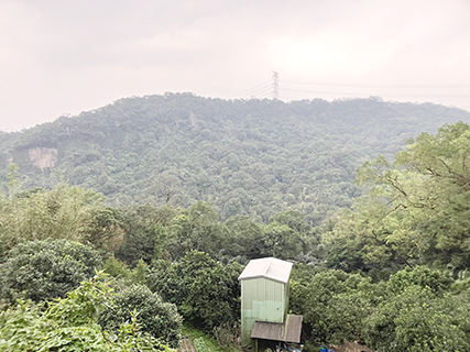台灣山嶺
