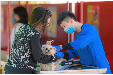◎ 市政署巡迴各區設點提供狂犬病疫苗注射服務。